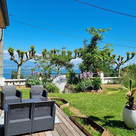 Appartement Cozy 1 Panoramique Lac Leman 托农莱班 外观 照片